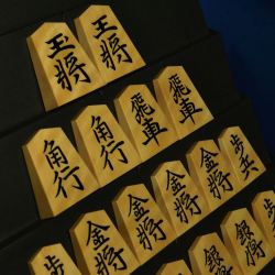 将棋駒　竹風作　虎斑特上　彫埋　清安