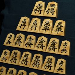 将棋駒　竹風作　根杢　彫埋　宗歩好