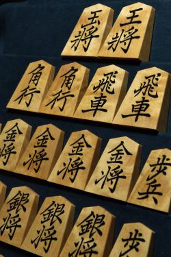 将棋駒　竹風作　根杢極上　彫埋　菱湖