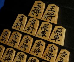将棋駒　竹風作　虎斑極上　彫埋　菱湖