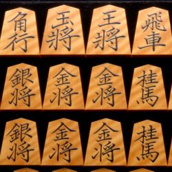 将棋駒　大竹竹風作　菱湖　虎斑特上