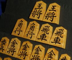 将棋駒　木村文俊作　菱湖　虎斑　盛揚　未使用中古　