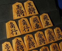 将棋駒　竹風作　昇竜　孔雀杢　盛揚　中古　