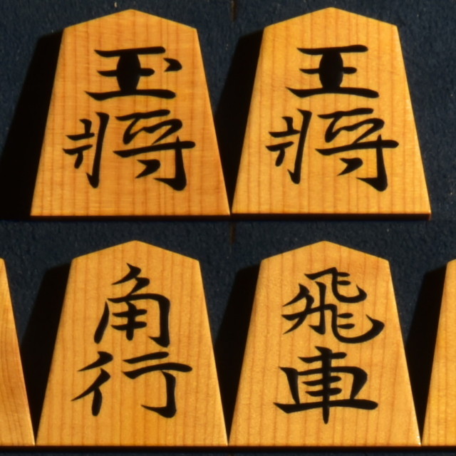 富月作 水無瀬書 盛揚 赤柾極上