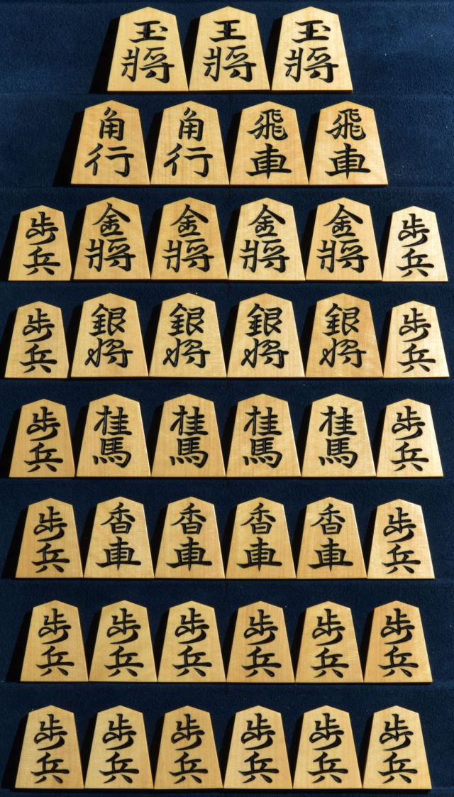 将棋　彫駒　将棋世界の懸賞で当たった駒 Amazon | 将棋 彫駒 将棋世界の懸賞で当たった駒 | 将棋 | おもちゃ