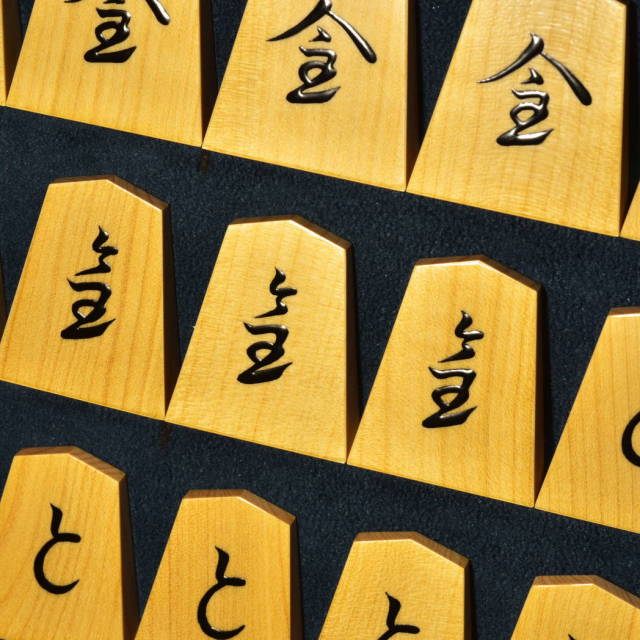 将棋駒 聰翔作 水無瀬書 盛揚