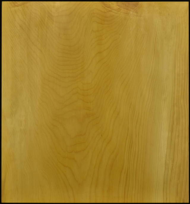 日本産本榧の木の板 一枚板