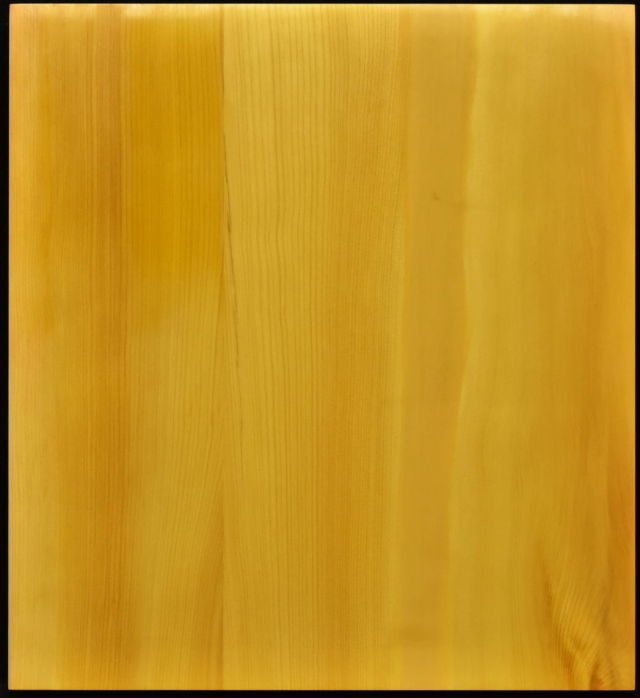 卓上将棋盤 本榧（日本・日向産） t6699