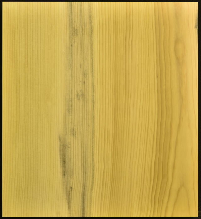 卓上将棋盤 本榧（日本産）一枚板 t6882