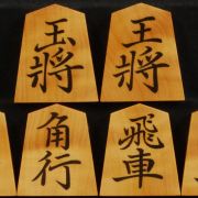 将棋 古本 Amazon | 本田化成 将棋駒 プラスチック製将棋駒 歩心 Pケース