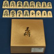 将棋駒 プラスチック 王将