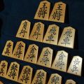 将棋駒　富月作　菱湖　赤柾（赤木地）　