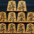 将棋駒　大竹竹風作　菱湖　虎斑　中古　e012