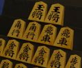 将棋駒　熊澤良尊作　孔雀杢　無双　盛揚