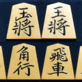 香月作　巻菱湖書　　盛揚