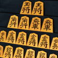 月山作　無剣　斑入　彫駒