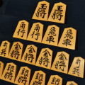将棋駒　彰歩作　清定書　盛揚　