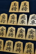 将棋駒　天一作　三邨書　彫駒