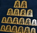将棋駒　天一作　天童楷書　盛揚