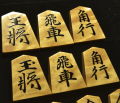 将棋駒　淘水作　源兵衛清安書　 杢　盛揚