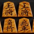 将棋駒　宮松作　鵞堂　虎斑　盛揚　中古　