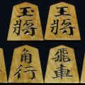 桐月作　錦旗　孔雀杢　盛揚