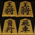 将棋駒　寛月作　菱湖　