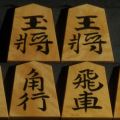 将棋駒　竹風作　根杢　彫埋　水無瀬