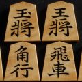 将棋駒　竹風作　根杢　彫埋　昇竜