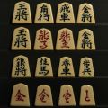 将棋駒　プラスチック　歩心　裏赤