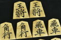 水明作　菱湖書　杢　盛揚