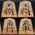 将棋駒　天竜作　名人駒（清安）　根杢　盛揚　中古　