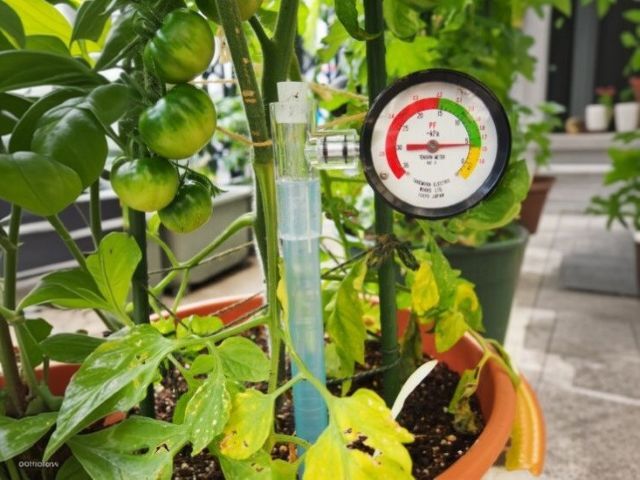 テンションメーター DM-8 実用