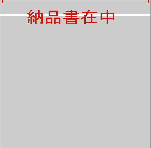 デリバリーパック（L-703）納品書在中2000枚 135x155(20)mm
