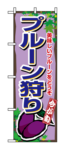 『メーカー取寄せ品 入荷次第発送』のぼり 1379 プルーン狩り
