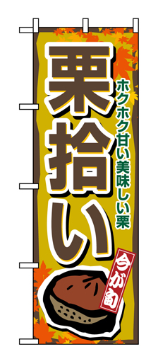 『メーカー取寄せ品 入荷次第発送』のぼり 1383 栗拾い