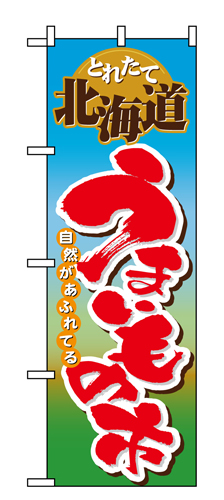 『メーカー取寄せ品 入荷次第発送』のぼり 1401 北海道うまいもの市