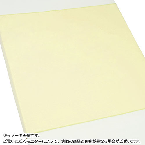 エブケア防水シーツ スムースニットタイプ（2層）90×145cm クリーム 30枚