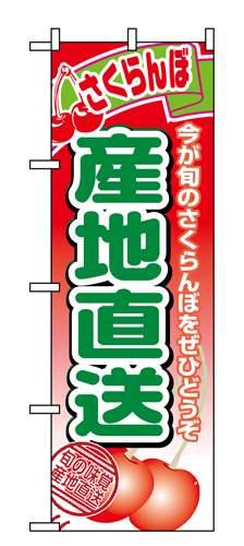 『メーカー取寄せ品 入荷次第発送』のぼり 1367 産地直送さくらんぼ