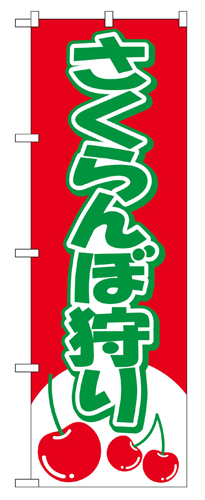 『メーカー取寄せ品 入荷次第発送』のぼり 2230 さくらんぼ狩り