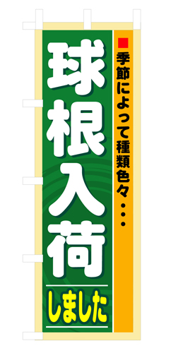 『メーカー取寄せ品 入荷次第発送』のぼり 3251 球根入荷