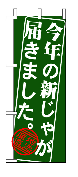 ミニのぼり 9368 今年の新じゃが届きました