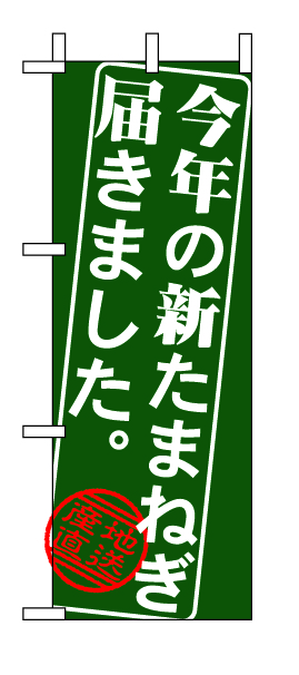 ミニのぼり 9369 今年の新たまねぎ届きました