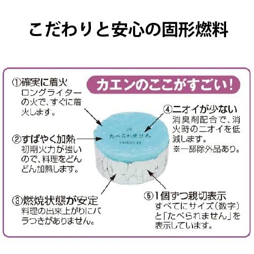 カエンニューエースE20　400個