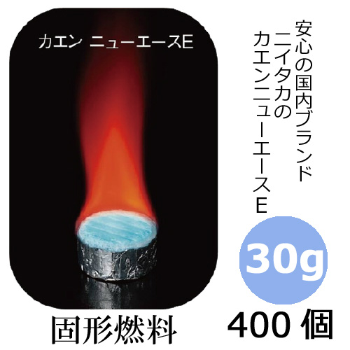 炎の香炉 中古】 炎の香炉 (Victor novels 精霊騎士シリーズ 4) / 高橋