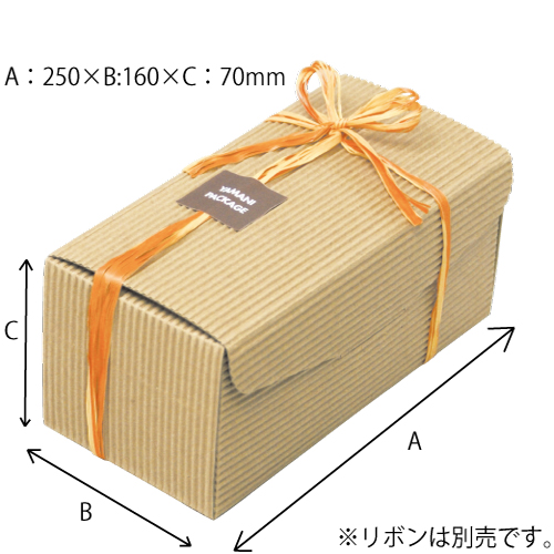 Lスタイル片段BOX-L　100枚