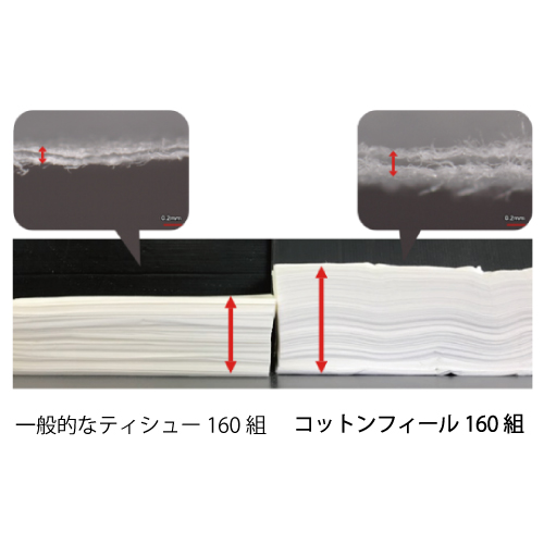 エリエール コットンフィールTS160W 160組（5箱ｘ10P入）