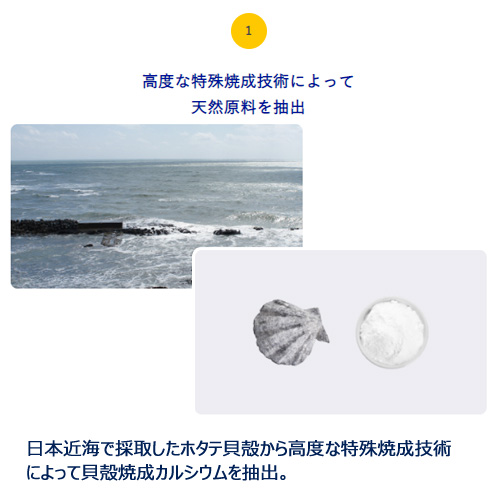 天然由来 除菌・ウィルス除去スプレー shell nature/シェルナチュレ 300mlボトル