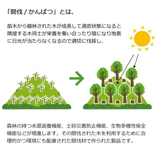間伐材紙コップSCM-275P (ECO FRIENDRY) 2500個