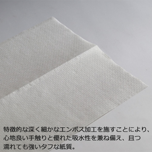 ペーパータオル e‐Syut Light（エシュットライト） エコノミー 49冊